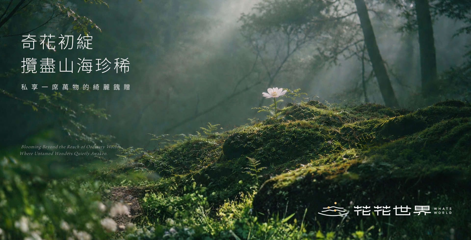 ⼭林氣息的潺潺流動，亦有深海霸主的無聲蟄伏